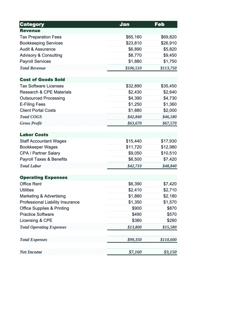Accounting Firm Budget Template preview