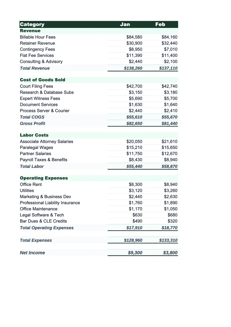 Law Firm Budget Template preview