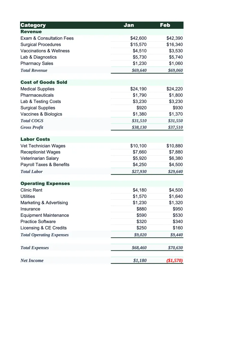 Veterinary Budget Template preview