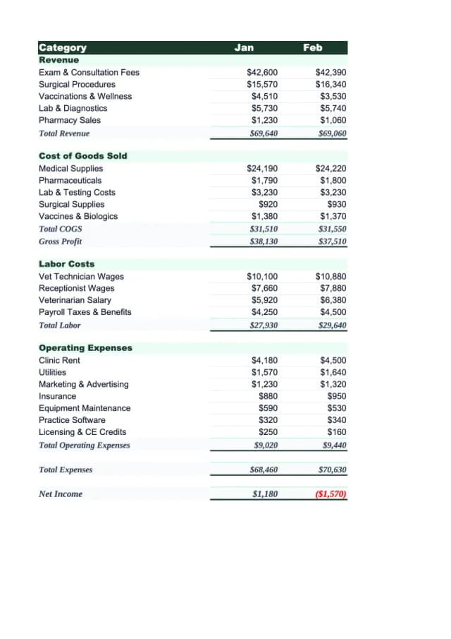 Veterinary Budget Template preview