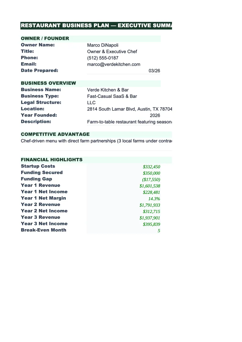 SaaS Business Plan Template preview