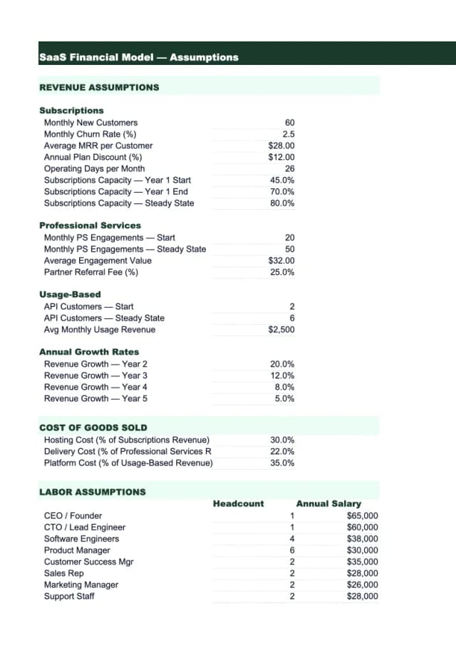 Saas Financial Model Template preview