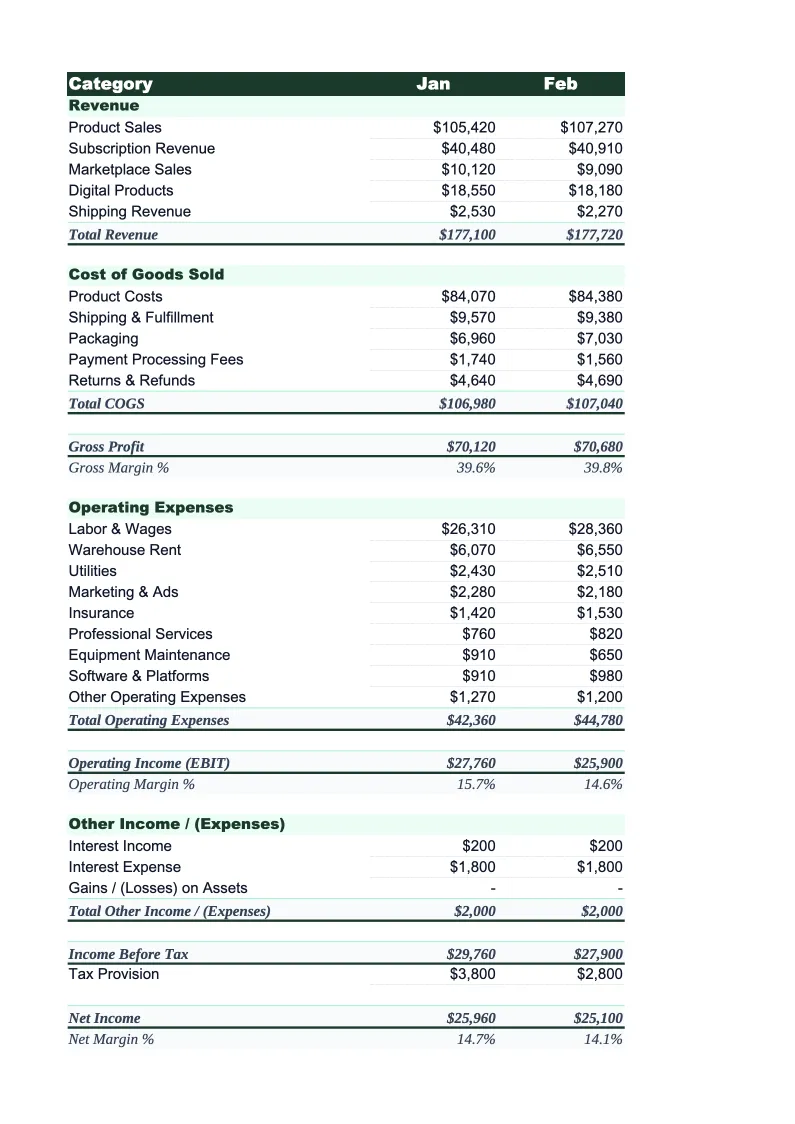 Ecommerce Income Statement Template preview