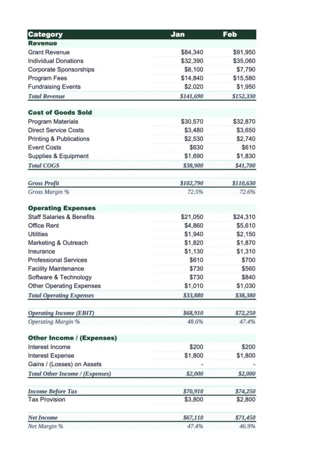 Nonprofit Income Statement Template preview