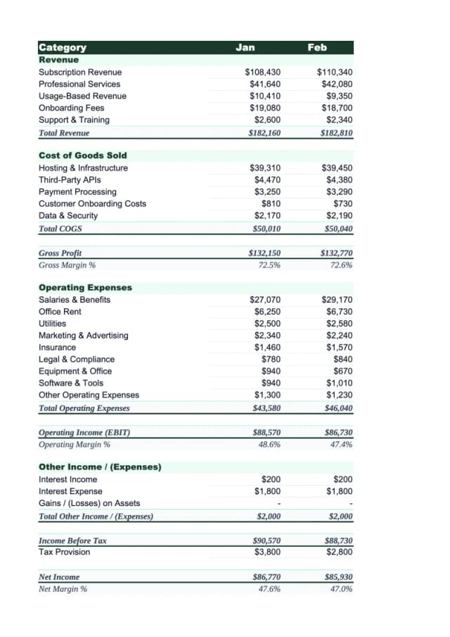 Saas Income Statement Template preview