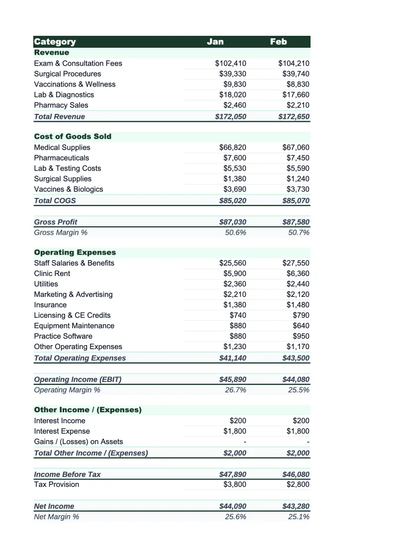 Veterinary Income Statement Template preview