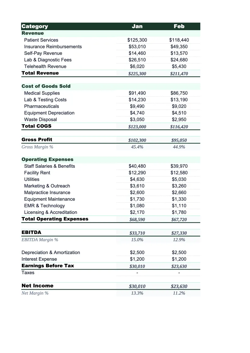 Healthcare P&L Template preview