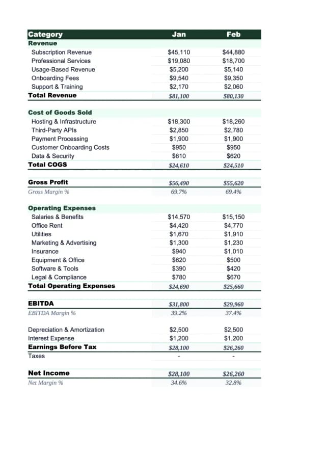 Saas P&L Template preview