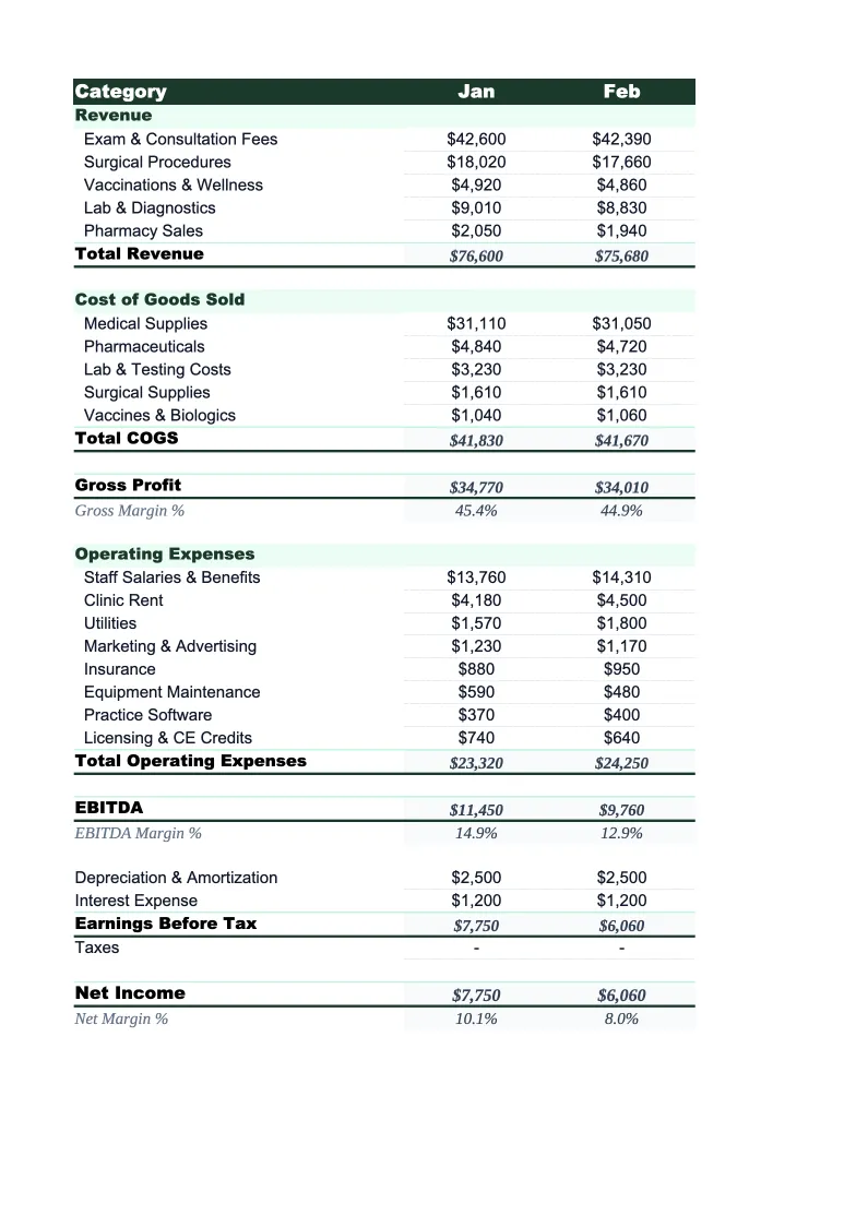 Veterinary P&L Template preview