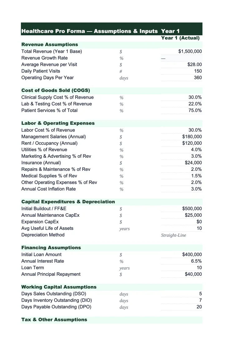 Healthcare Pro Forma Template preview