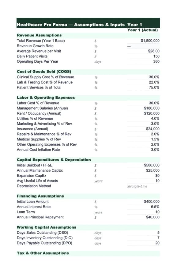 Healthcare Pro Forma Template preview
